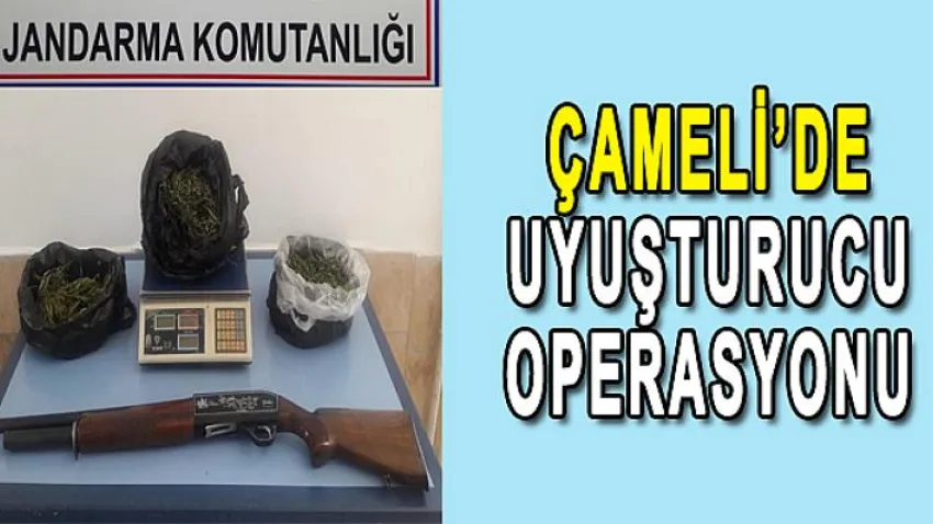 Çameli’de Uyuşturucu Operasyonu