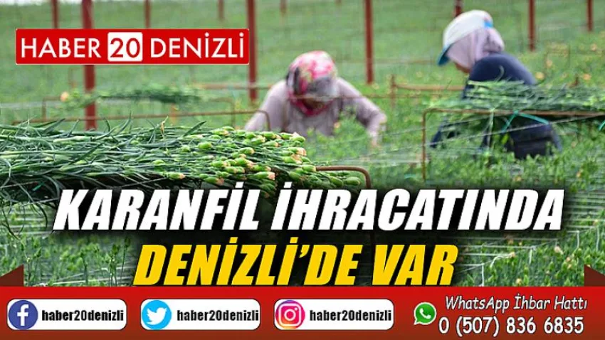 Karanfil ihracatında Denizli’de var