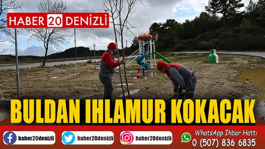 Buldan Ihlamur Kokacak