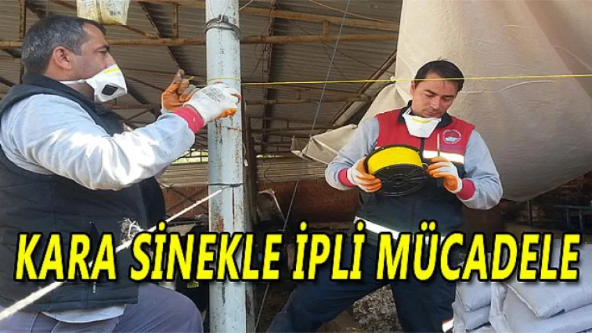 Kara Sinekle İpli Mücadele