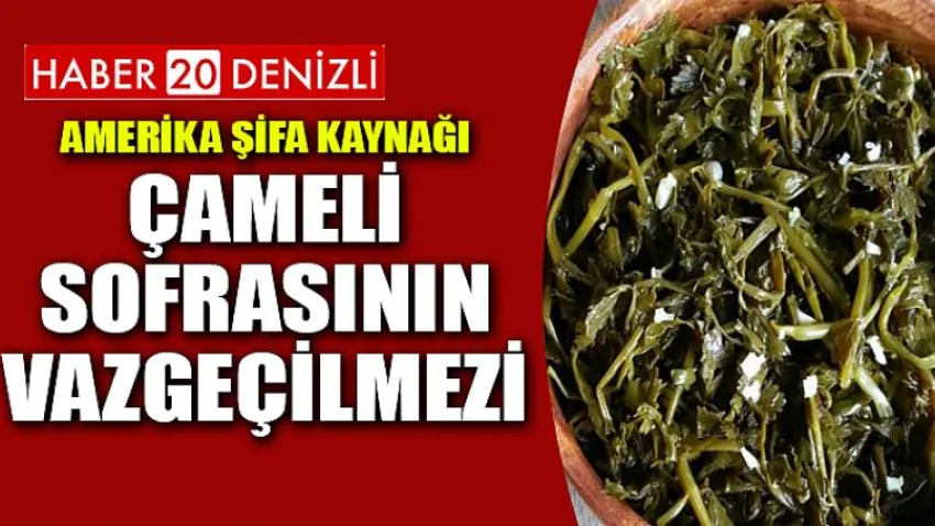 Amerika Şifa Kaynağı Çameli Sofrasının Vazgeçilmezi