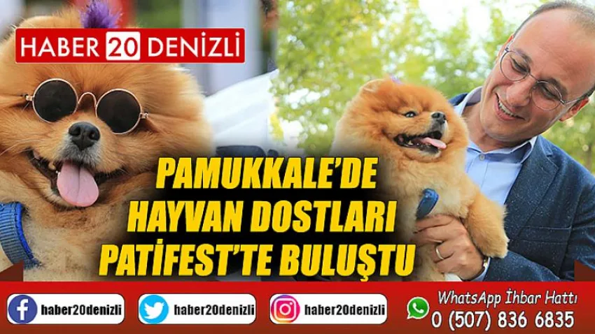 Pamukkale’de hayvan dostları Patifest’te buluştu