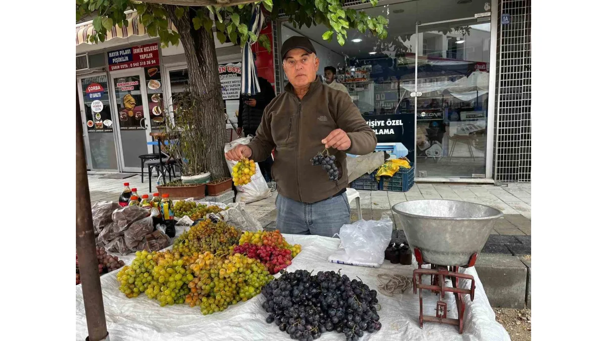 Haydar üzümleri tezgahlarda yerini aldı