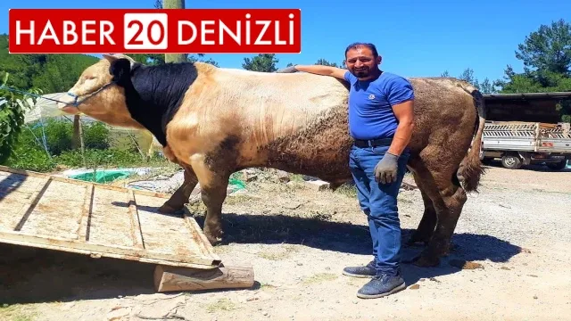 Orta refüje çıkan otomobil takla attı: 1 ölü, 1 yaralı