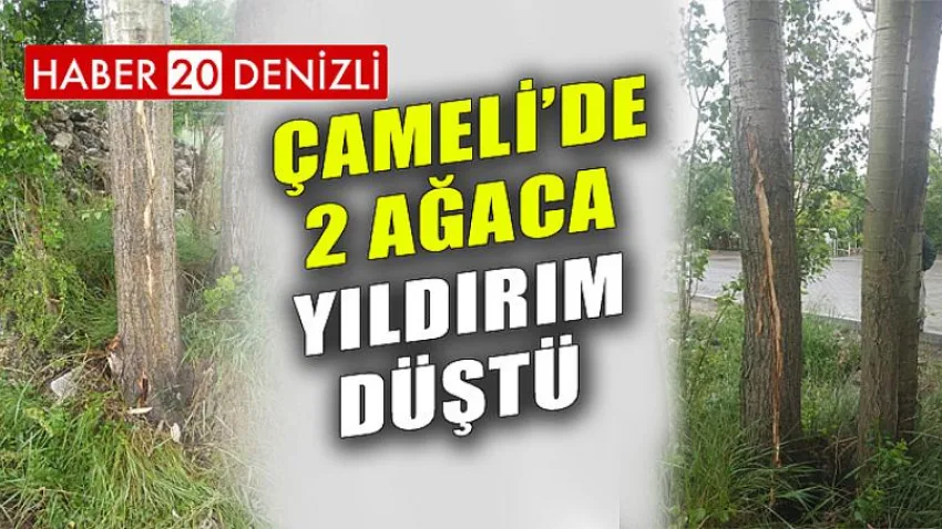 Çameli'de 2 Ağaca Yıldırım Düştü