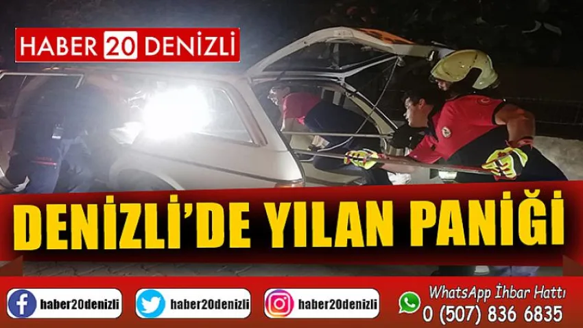 Denizli’de otomobil bagajında yılan paniği