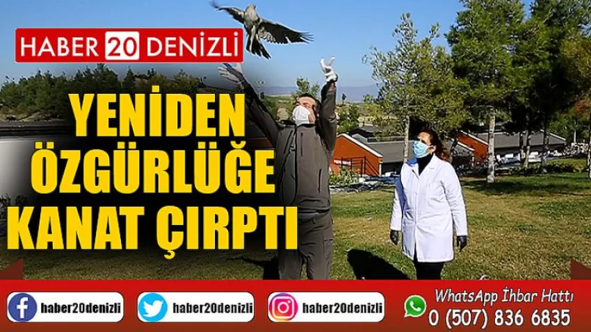 Yeniden özgürlüğe kanat çırptı