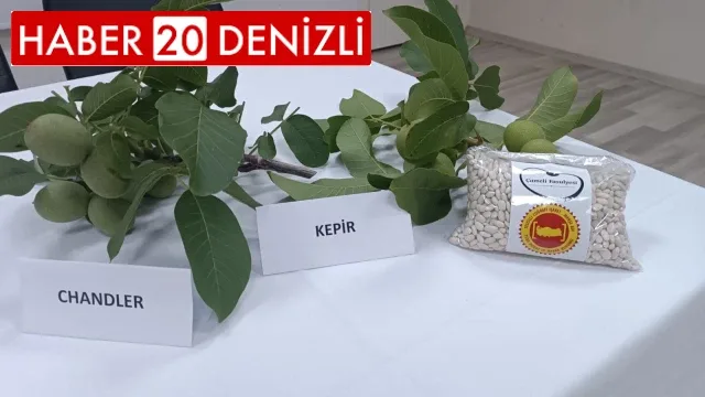 Çameli’nde ceviz ve fasulye fiyatları belli oldu