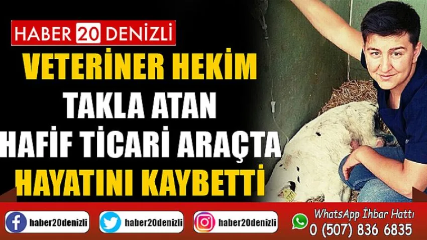 Veteriner hekim takla atan hafif ticari araçta hayatını kaybetti