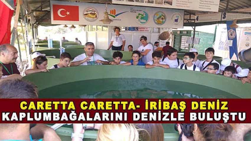 Caretta Caretta- İribaş Deniz Kaplumbağalarını Denizle Buluştu