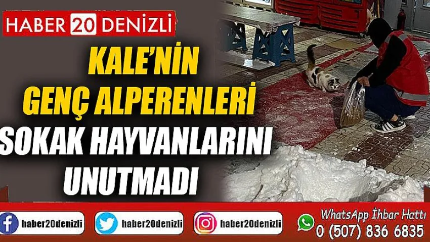 Kale’nin genç Alperenleri sokak hayvanlarını unutmadı