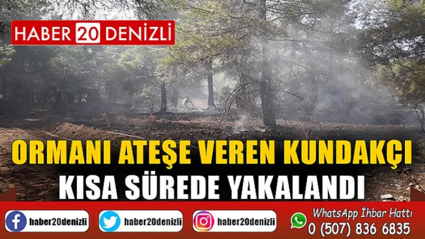 Ormanı ateşe veren kundakçı kısa sürede yakalandı