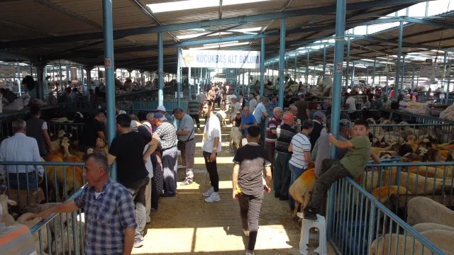 Başkan Tefenlili’den Kurban Pazarına Davet Kurban Pazarı Müşterilerini Bekliyor