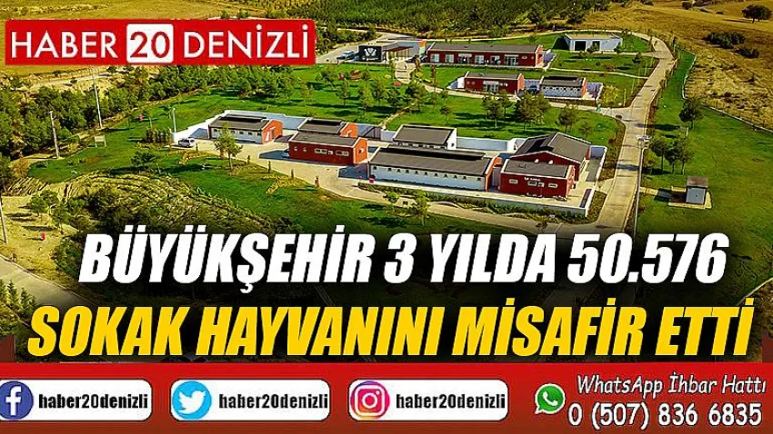 Büyükşehir 3 yılda 50.576 sokak hayvanını misafir etti