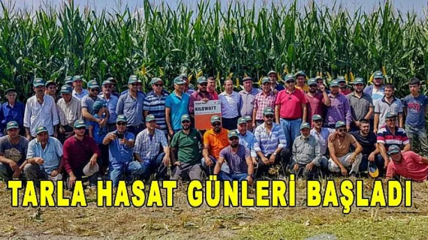 Tarla Hasat Günü Düzenlendi