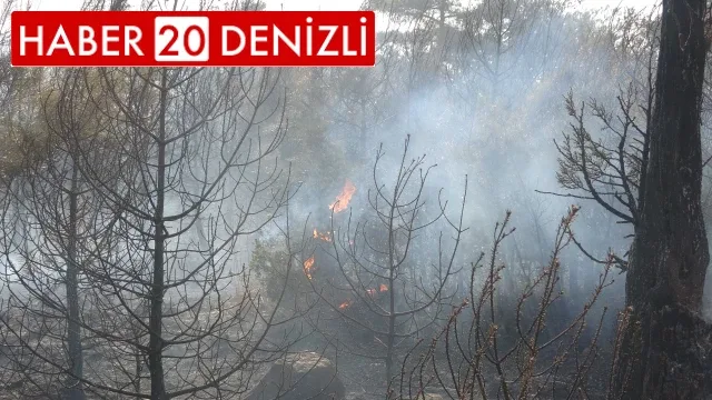Denizli’deki orman yangınında 20 hektar alan kül oldu