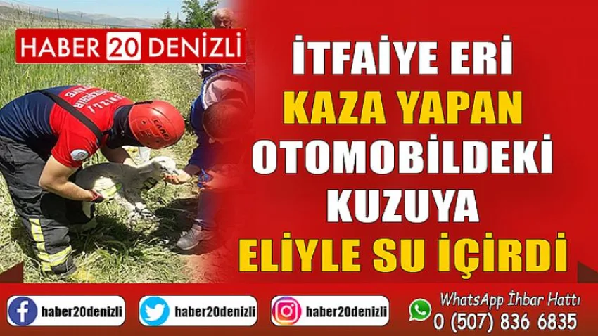 İtfaiye eri kaza yapan otomobildeki kuzuya eliyle su içirdi
