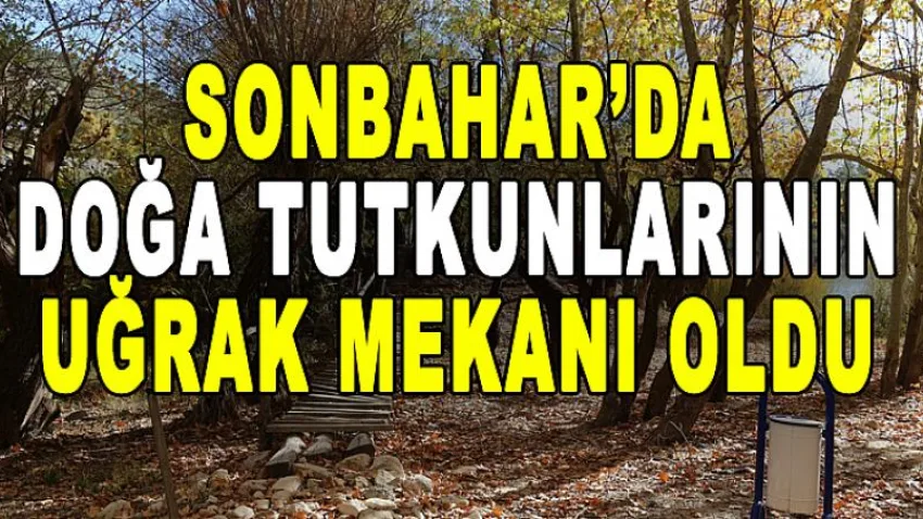 Sonbahar'da Doğa Tutkunlarının Uğrak Mekanı Oldu
