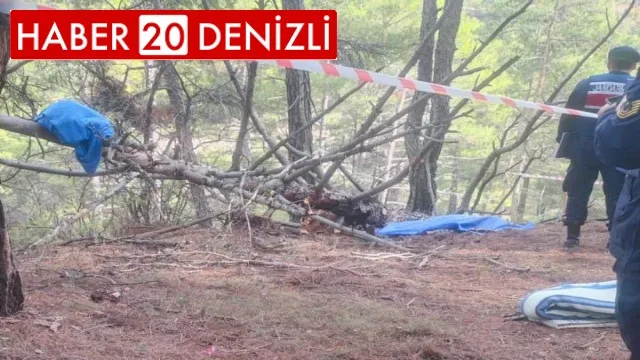 Odun yapmak için kestiği ağacın altında can verdi