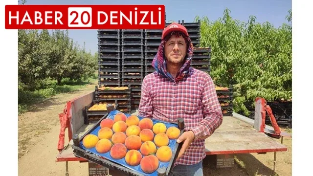 Talep artışı sonrası oluşan fiyatlar şeftali üreticisini memnun etti