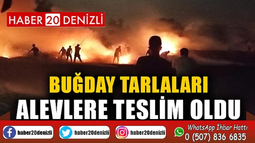 Buğday tarlaları alevlere teslim oldu