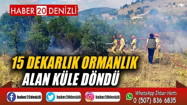 15 dekarlık ormanlık alan küle döndü