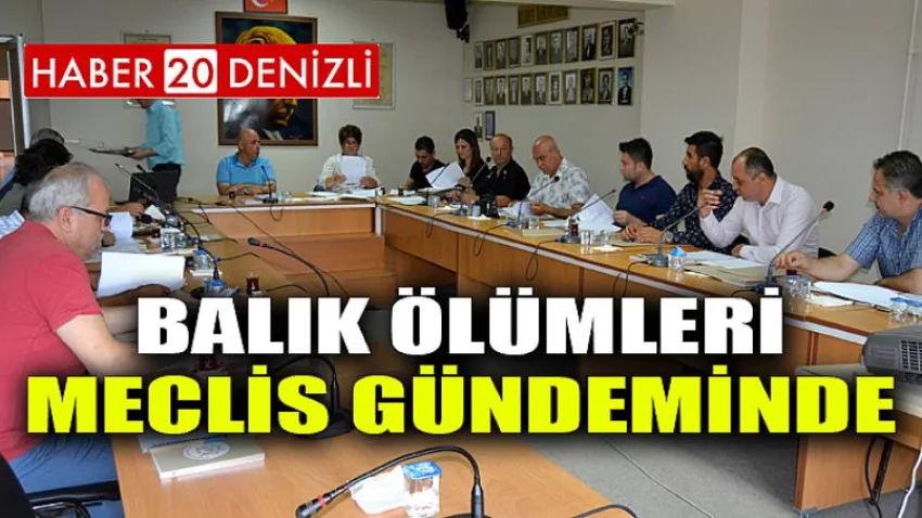 Balık Ölümleri Meclis Gündeminde