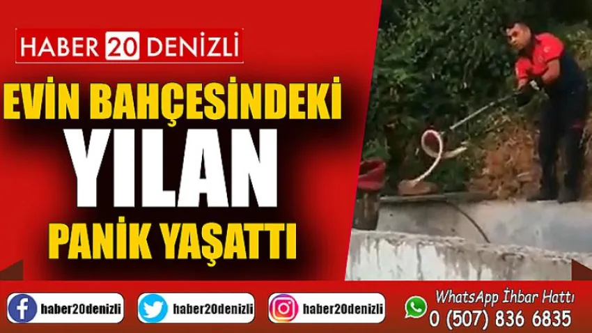 Evin bahçesindeki yılan panik yaşattı