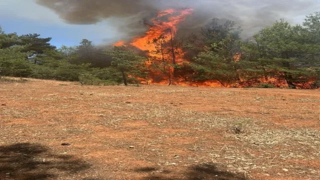 Denizli'de saman basma makinasından başlayan yangın kısa sürede kontrol altına alındı