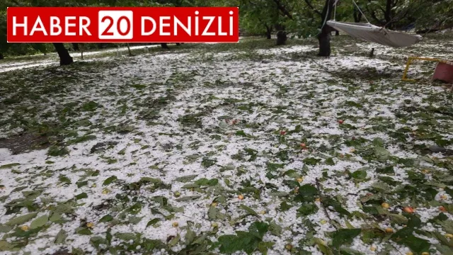 Çiftçinin yaşadığı mağduriyet ilgili makamlara iletildi