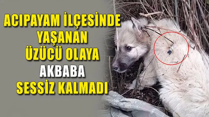 Acıpayam İlçesinde Yaşanan Üzücü Olaya Akbaba Sessiz Kalmadı