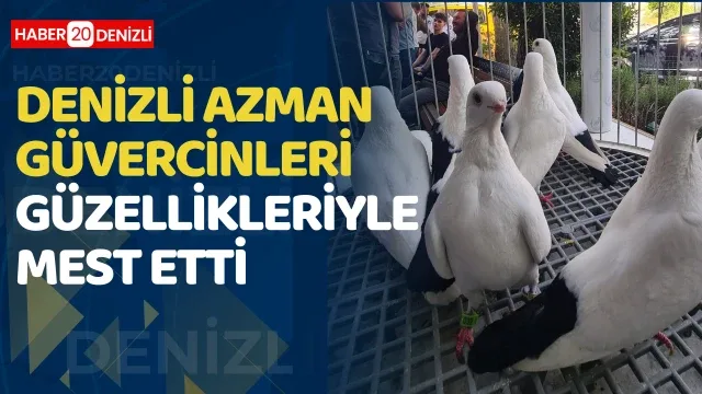 Denizli azman güvercinleri güzellikleriyle mest etti