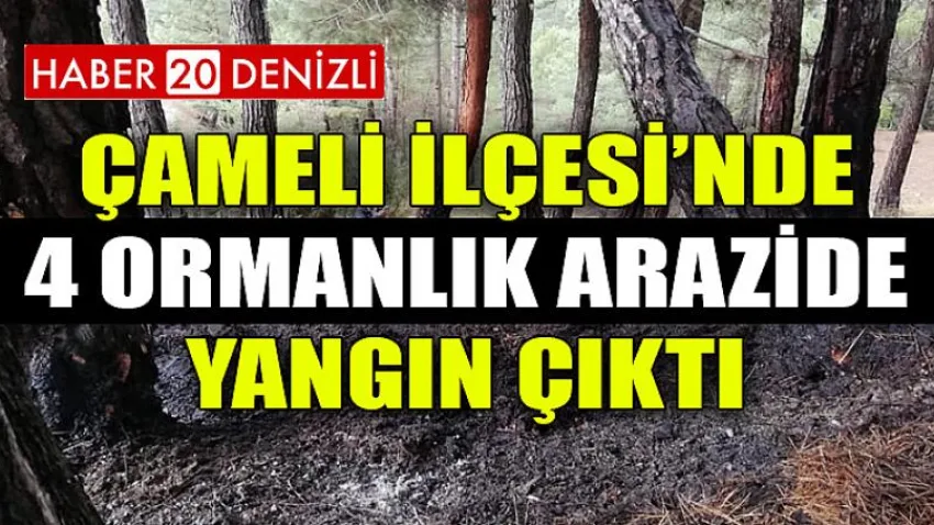 Çameli'de 4 Ormanlık Arazide Yangın Çıktı
