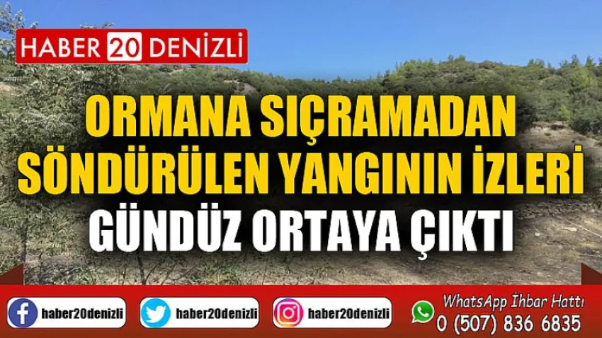 Ormana sıçramadan söndürülen yangının izleri gündüz ortaya çıktı