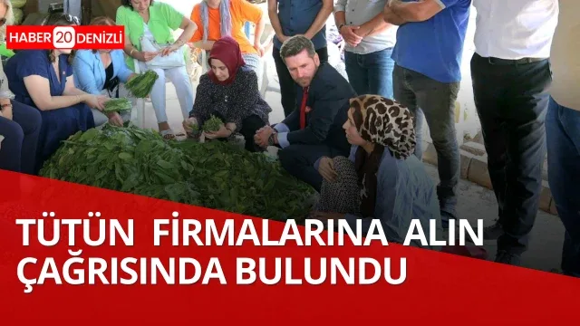 Başkan Tatık’tan tütün firmalarına 'Alım takvimi açıklayın' çağrısı