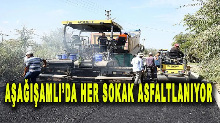 Aşağışamlı'da Her Sokak Asfaltlanıyor