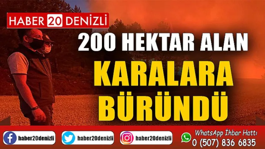 200 hektar alan karalara büründü