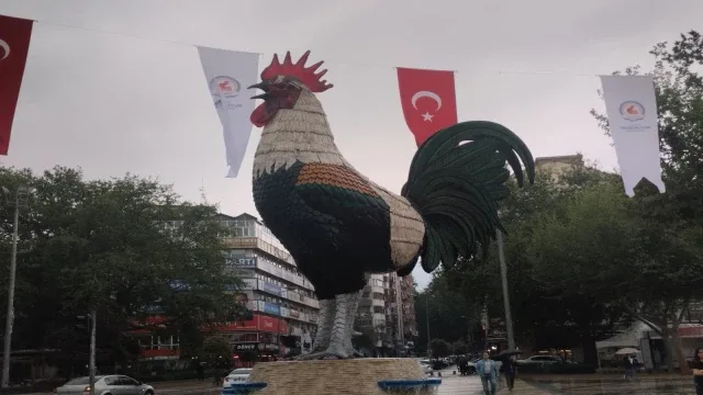 Denizli Horozu doludan nasibini aldı