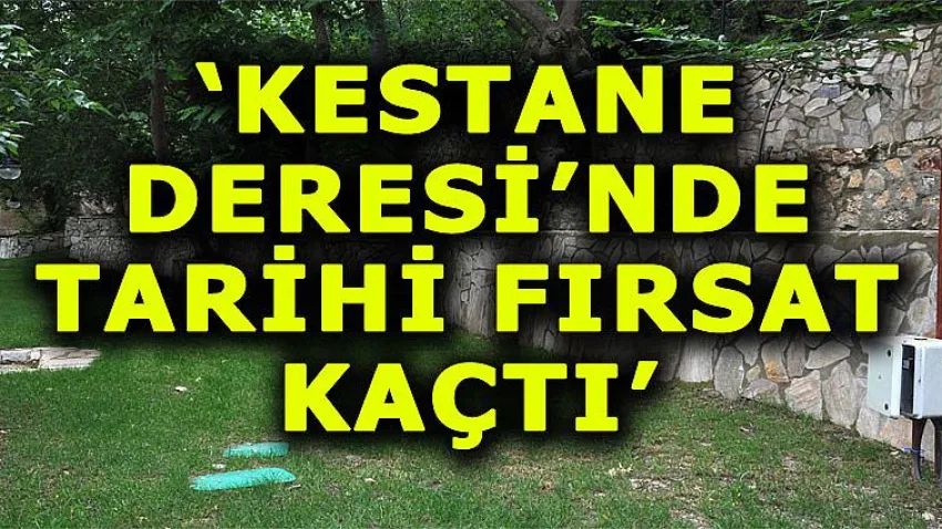 Kestane Deresi’nde Tarihi Fırsat Kaçtı
