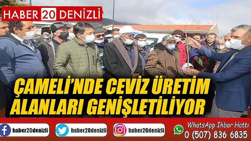 Çameli’nde ceviz üretim alanları genişletiliyor
