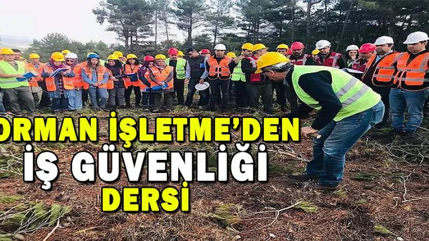 Orman İşletme'den İş Güvenliği Dersi