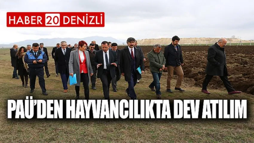 PAÜ’den Hayvancılıkta Dev Atılım