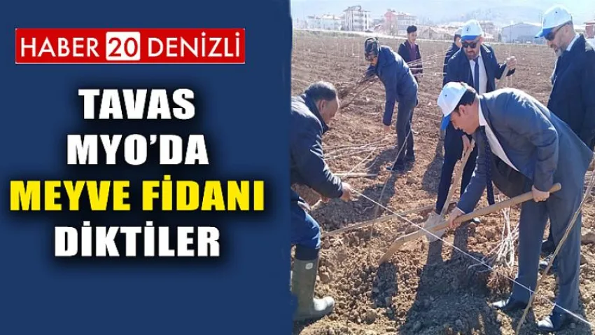 Tavas MYO’da Meyve Fidanı Diktiler