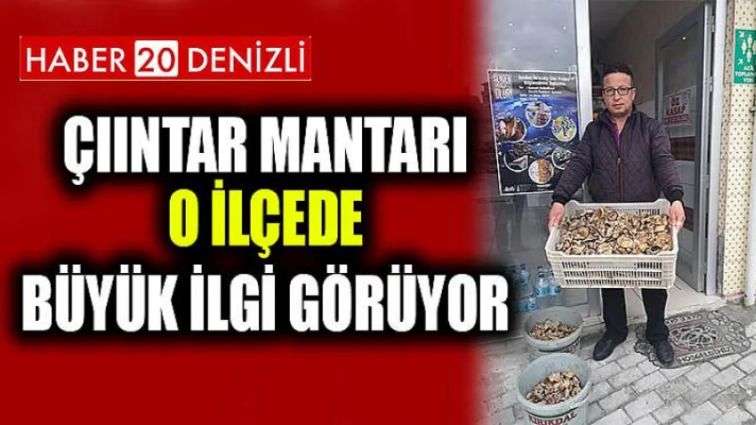Çıntar Mantarı O İlçede Büyük İlgi Görüyor