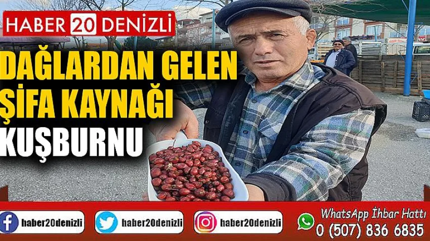 Dağlardan gelen şifa kaynağı; Kuşburnu