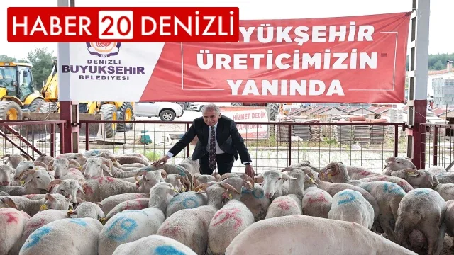 Denizli’de 650 bin hayvan için 140 bin mineral taşı dağıtıldı