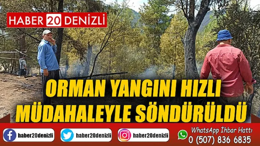 Orman yangını hızlı müdahaleyle söndürüldü