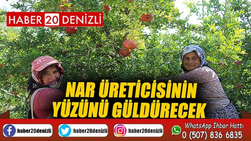 Nar üreticisinin yüzünü güldürecek
