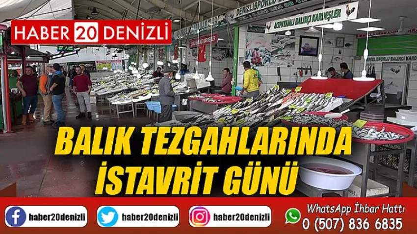 Balık tezgahlarında istavrit günü