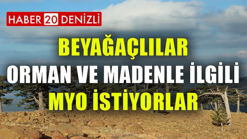 Beyağaçlılar Orman ve Madenle İlgili Myo İstiyorlar